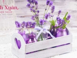 Ý nghĩa đặc biệt của hoa oải hương Lavender