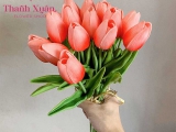 Tất tần tật về ý nghĩa của hoa tulip theo màu sắc