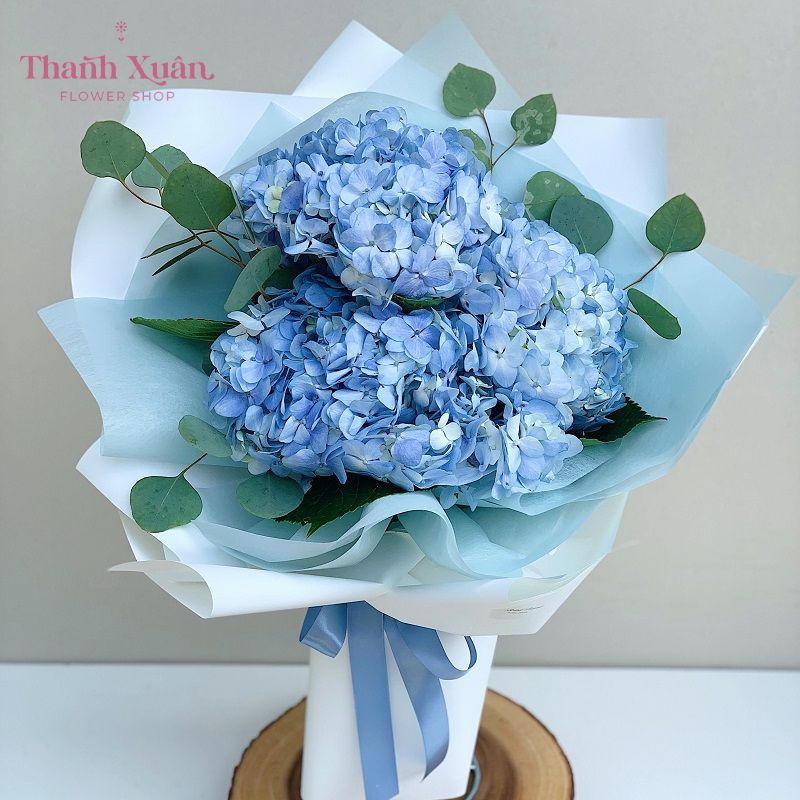 Hoa cẩm tú cầu là loài hoa thể hiện lòng biết ơn sâu sắc
