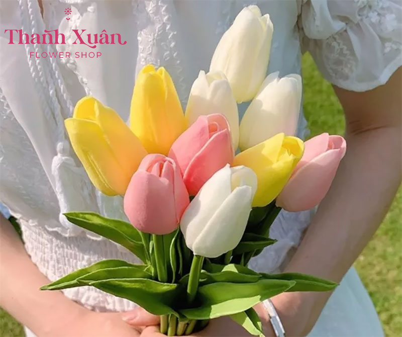 Hoa Tulip còn gọi là hoa Uất Kim Hương